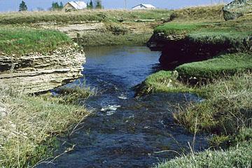 Landur