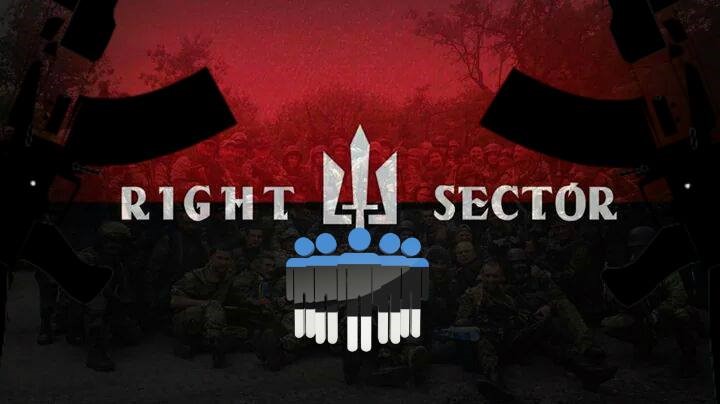 В Эстонии появился свой «Правый сектор»